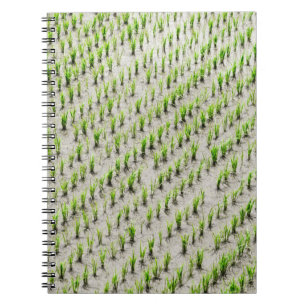 Aerial view photography of rice crops during dayti notebook