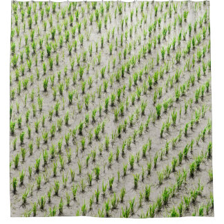 Aerial view photography of rice crops during dayti shower curtain