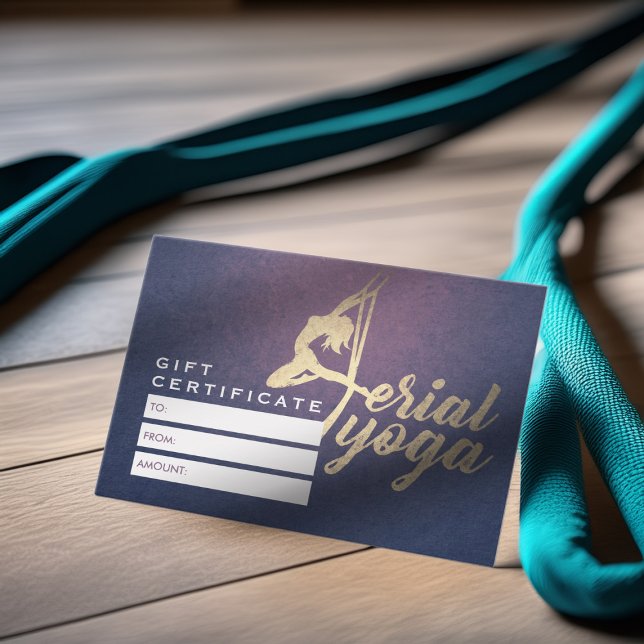 Aerial YOGA Meditation Instructor Gift Certificate (Creator Uploaded)