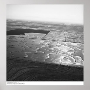 Aerials, Sacramento Valley, Rice fields, May, 1966 Poster