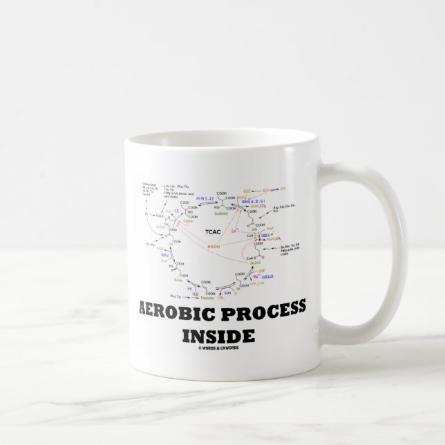 Aerobic Process Inside Krebs Cycle Biochemistry Coffee Mug (Right)