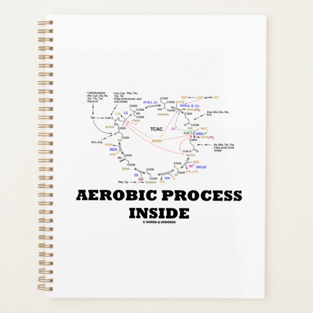 Aerobic Process Inside Krebs Cycle Geek Humor Planner (Front)