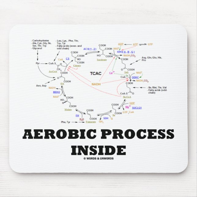 Aerobic Process Inside (Krebs Cycle) Mouse Pad (Front)