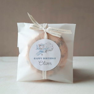 Aeroplane and Teddy Bear Birthday Party  Classic Round Sticker