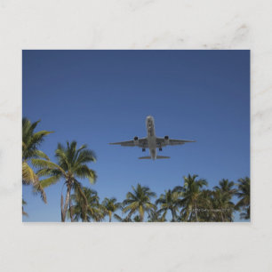 Aeroplane landing in Miami Postcard