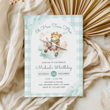 Aeroplane Teddy Bear Pastel Time Flies Birthday