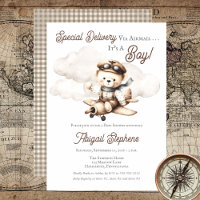 Aeroplane Teddy Bear Special Delivery Baby Shower