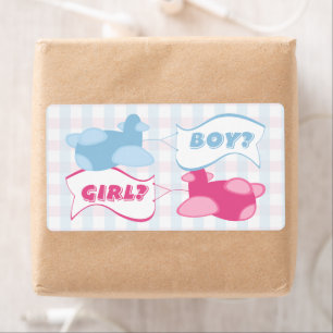 Aeroplanes and Banners Gingham Gender Reveal Party