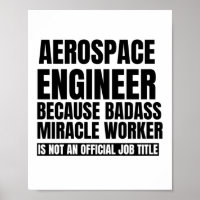Aerospace engineer because badass miracle worker i