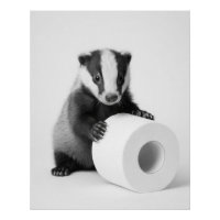 Aesthetic Baby Badger Holding Toilet Paper Cute
