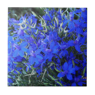 Aesthetic blue Lobelia blooming cottagecore garden Ceramic Tile