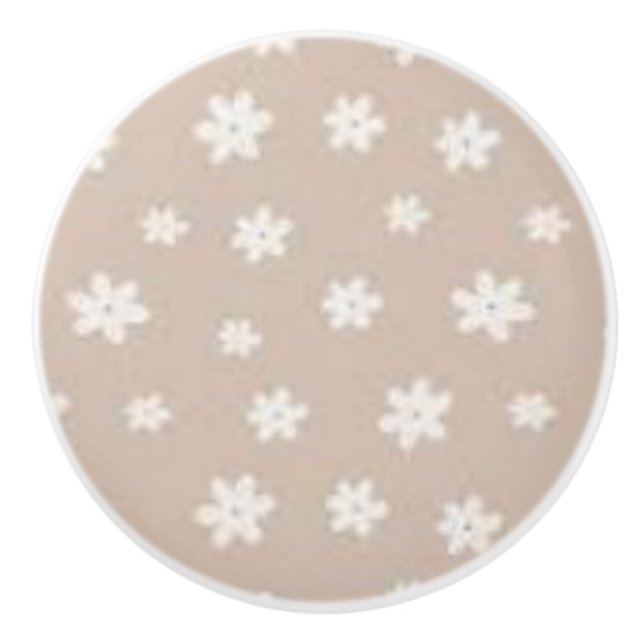 Aesthetic  ceramic knob (Front)