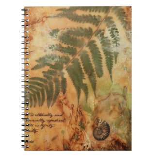 Aesthetic Design Journal