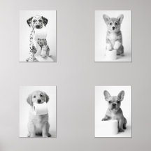 Aesthetic Four Adorable Puppies with Toilet Paper