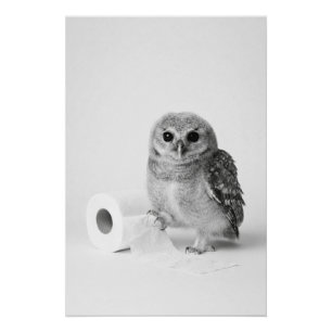Aesthetic Minimalist Baby Owl Holding Toilet Paper Poster