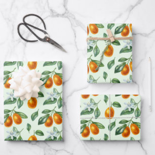 Aesthetic Orange Citrus Fruit Wrapping Paper Sheet