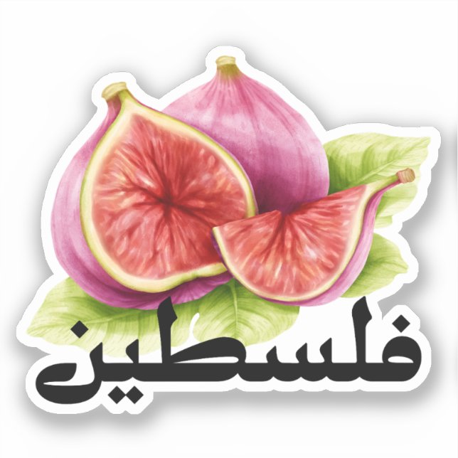 Aesthetic Palestine in Arabic Figs Falastin (Front)