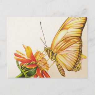 Aesthetic Postcard