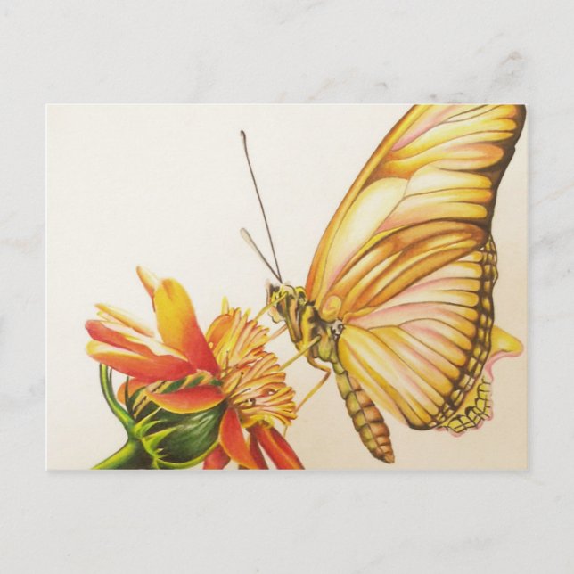 Aesthetic Postcard (Front)