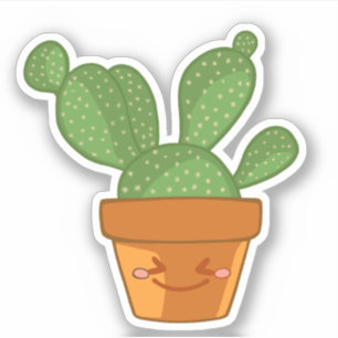 Aesthetic Succulent Cactus Flower plant