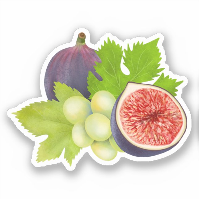 Aesthetic Watercolor Fig and Grape Artwork (Front)