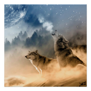 Aesthetic wolf howling, wild life poster