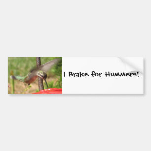 AF- Hummingbird Bumpersticker Bumper Sticker