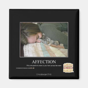 Affection Magnet