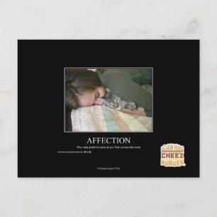 Affection Postcard