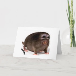 affectionate birthday card