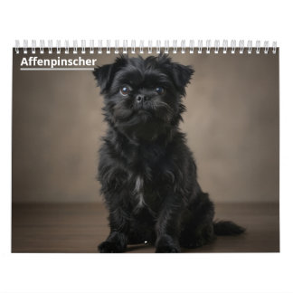 Affenpinscher 2027 Wall Calendar