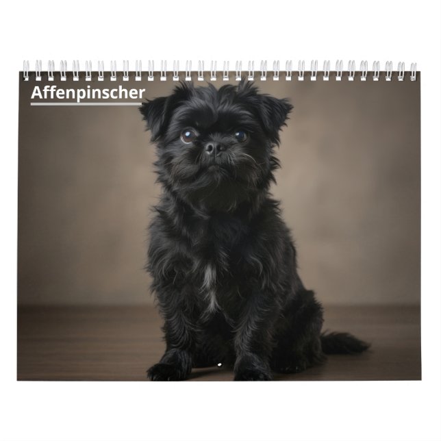 Affenpinscher 2027 Wall Calendar (Cover)