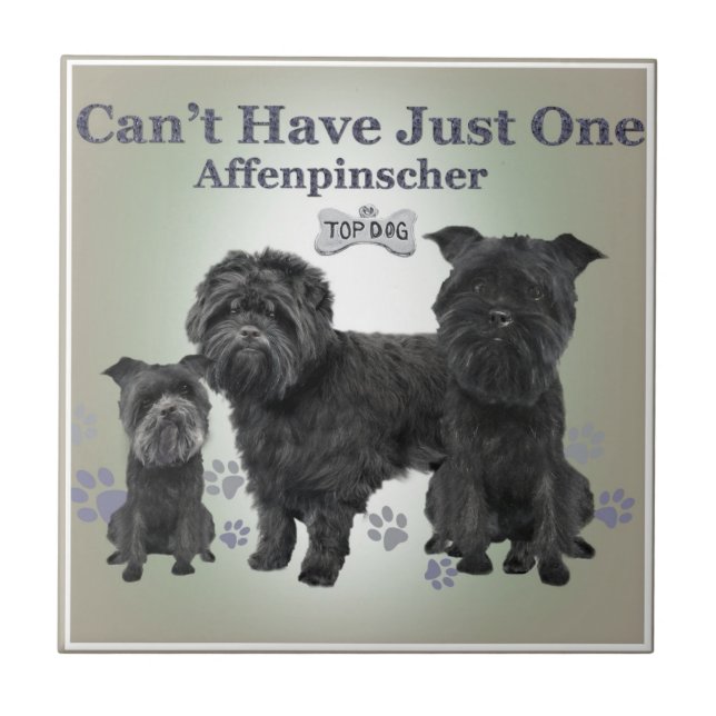 Affenpinscher Can't Have Just One Tiles (Front)