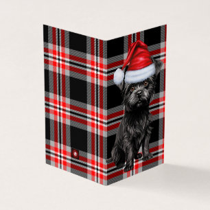 Affenpinscher Christmas Dog with Holiday Plaid