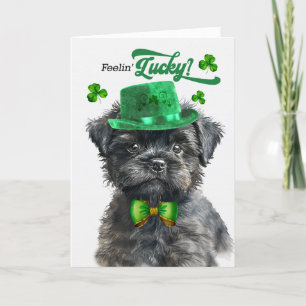 Affenpinscher Dog Feelin' Lucky St Patrick's Day Holiday Card