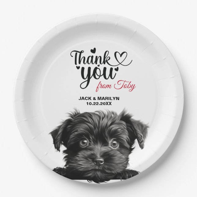 Affenpinscher Dog Paper Plate (Front)