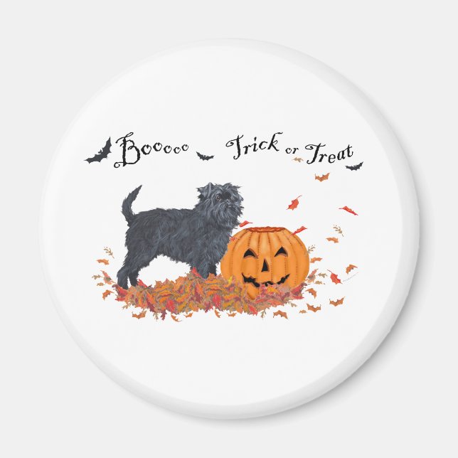 Affenpinscher Halloween Magnet (Front)