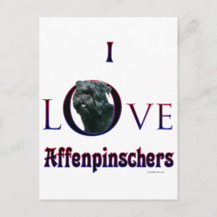 Affenpinscher I Love Postcard