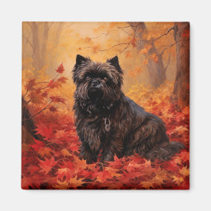 Affenpinscher in Autumn Leaves Fall Inspired  Magnet