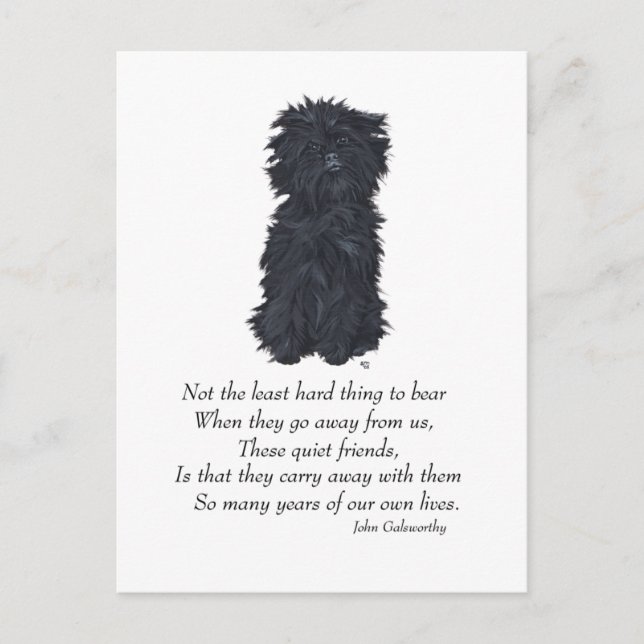 Affenpinscher Keepsake Postcard (Front)