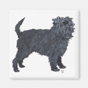 Affenpinscher Magnet