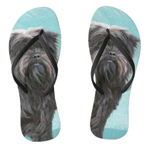 Affenpinscher Painting - Cute Original Dog Art Thongs