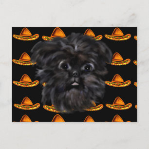 Affenpinscher  postcard