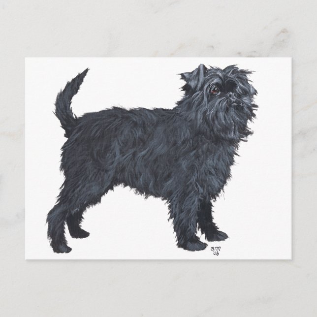 Affenpinscher Postcard (Front)
