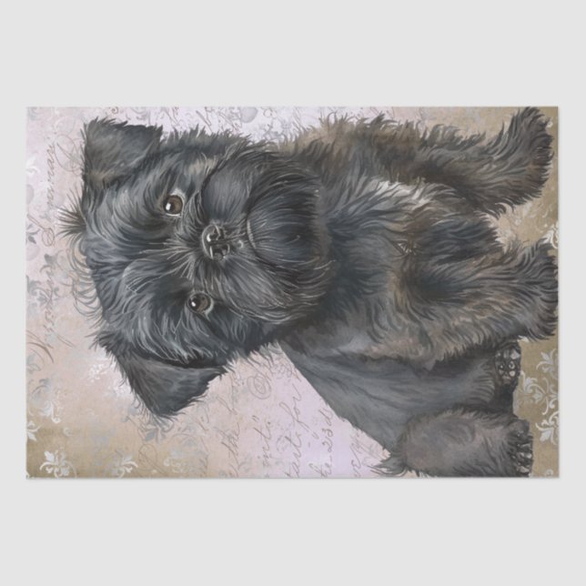 Affenpinscher Puppy Dog Tissue Paper (Front)