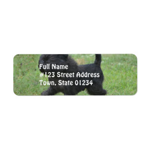 Affenpinscher Return Address Label