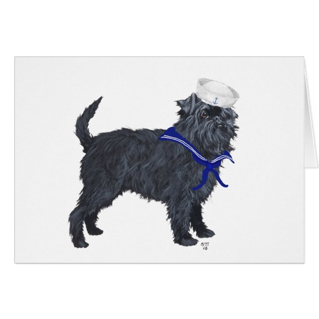 Affenpinscher Sailor (Front Horizontal)