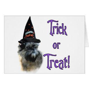 Affenpinscher Trick