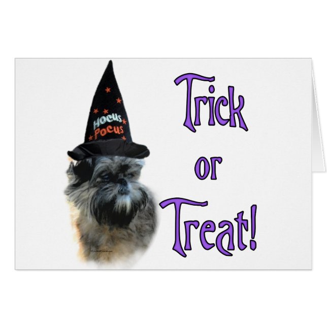 Affenpinscher Trick (Front Horizontal)