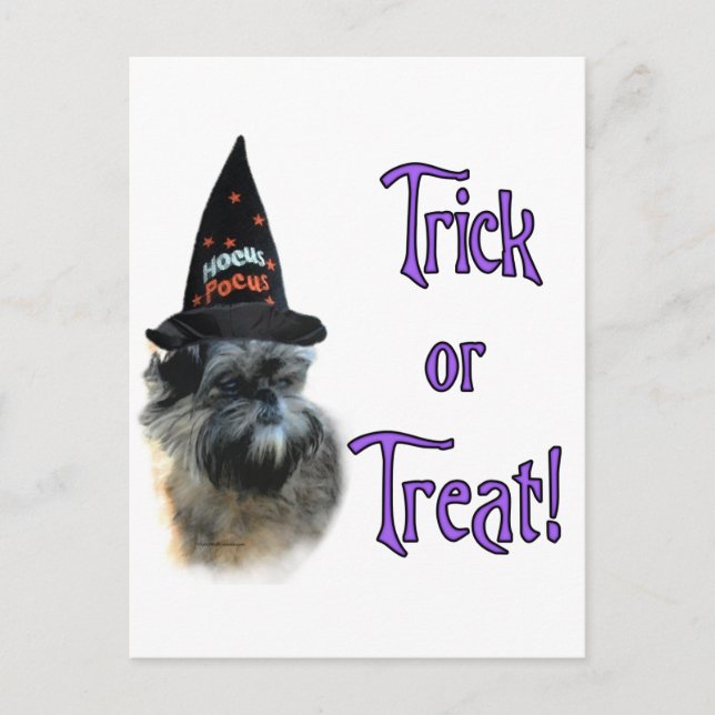 Affenpinscher Trick Postcard (Front)